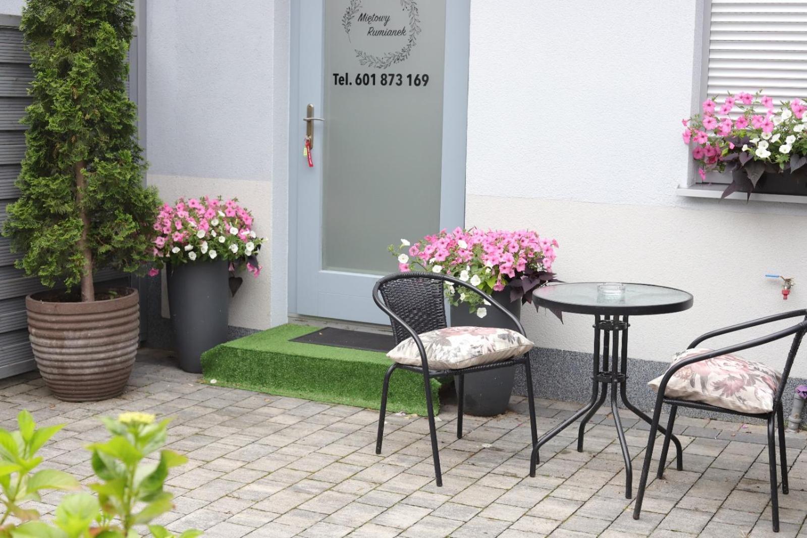 2 Apartament Mietowy Rumianek Lwowek Kültér fotó